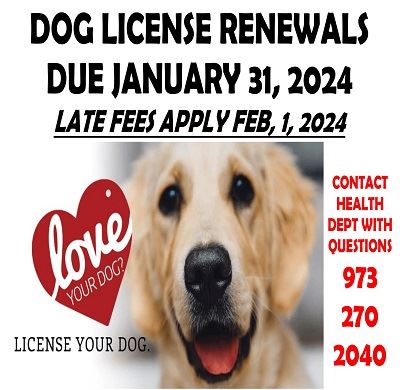 Dog License -NF